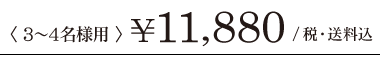 〈3~4名様用〉¥11,880 /税・送料込