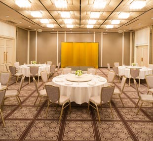 孔雀(くじゃく)