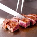 平日限定｜～シェフ一推し～　活鮑・国産牛ステーキが付いた特別コース