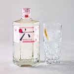 ［4～6月のおすすめ］『ROKU〈六〉』ジン＆トニック