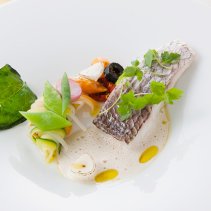 &lt;b&gt;JRホテルメンバーズ 会員様限定&lt;/b&gt;&lt;br&gt;マルシェコースにお魚料理1品追加サービス「謝恩フェアランチ」