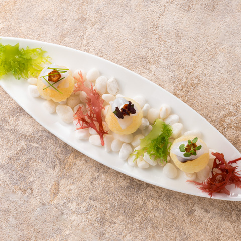 瀬戸内の海の恵み パナシェ仕立て