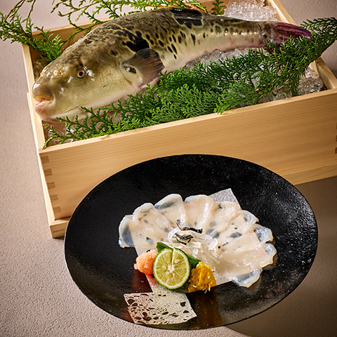 ［12月］フグの薄造り